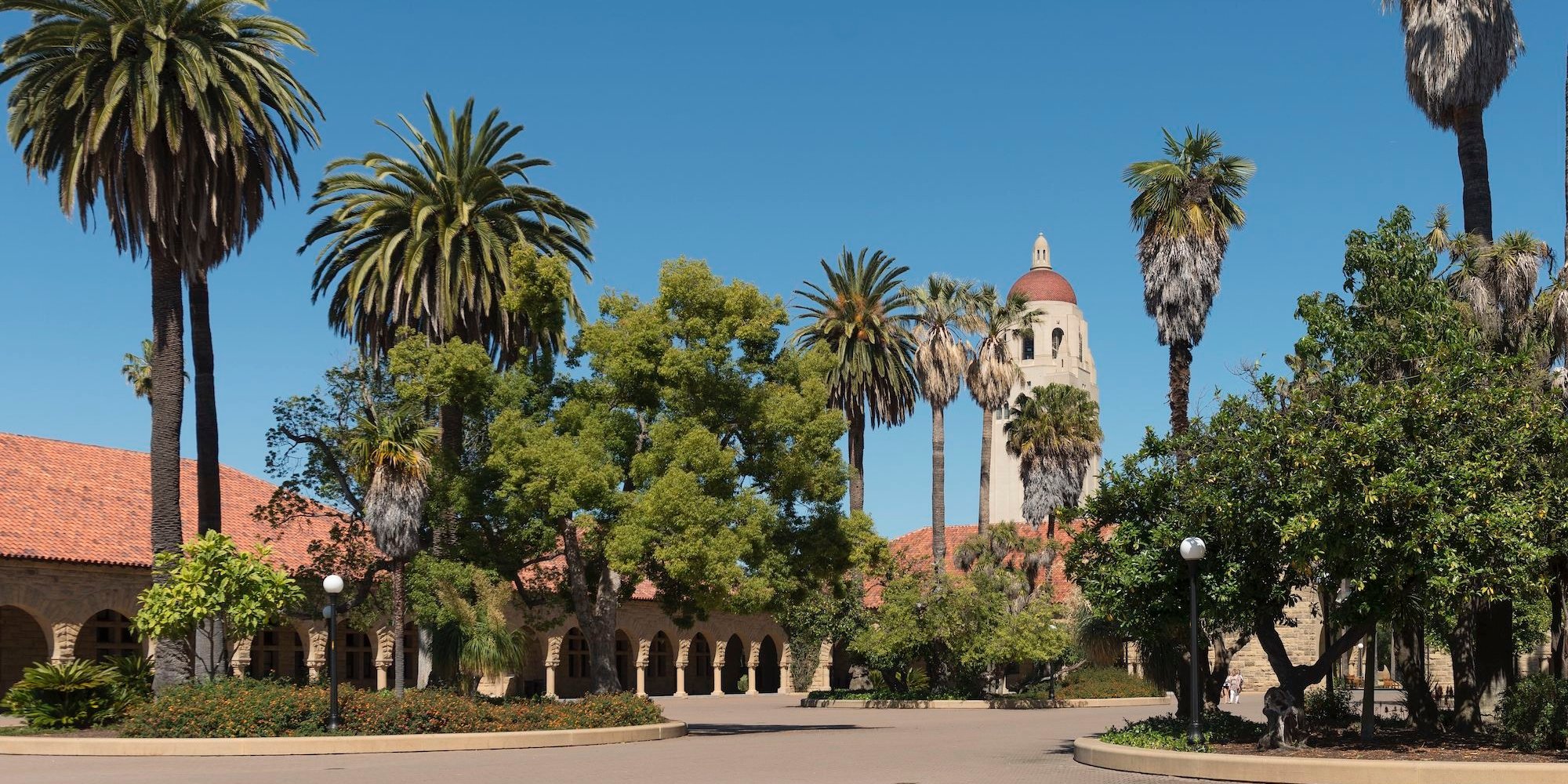 Main Quad, palm trees, Hoover Tower